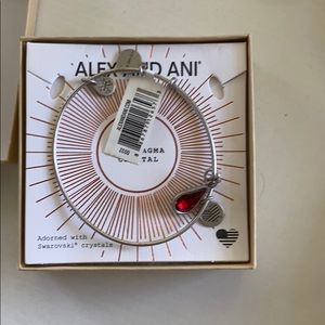 Alex & Ani Bracelet